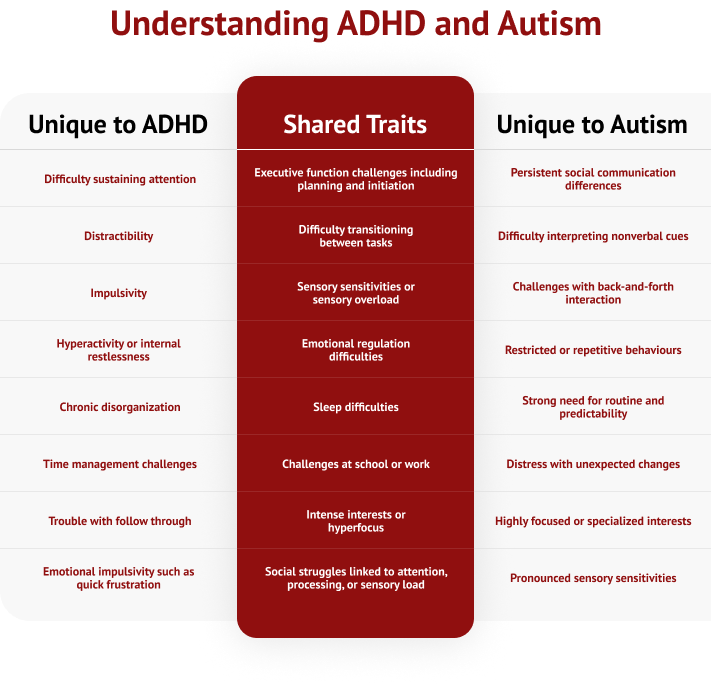 understanding autism and adhd